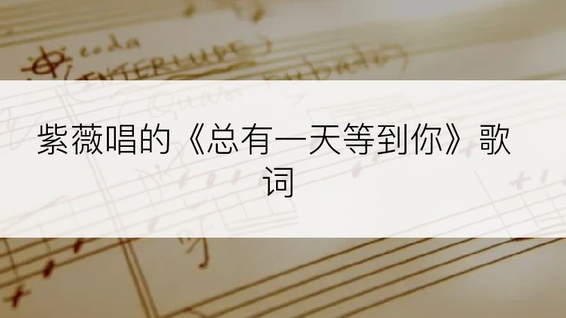 紫薇唱的《总有一天等到你》歌词