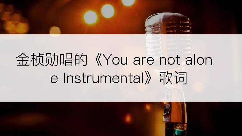 金桢勋唱的《You are not alone Instrumental》歌词