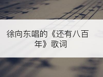 徐向东唱的《还有八百年》歌词