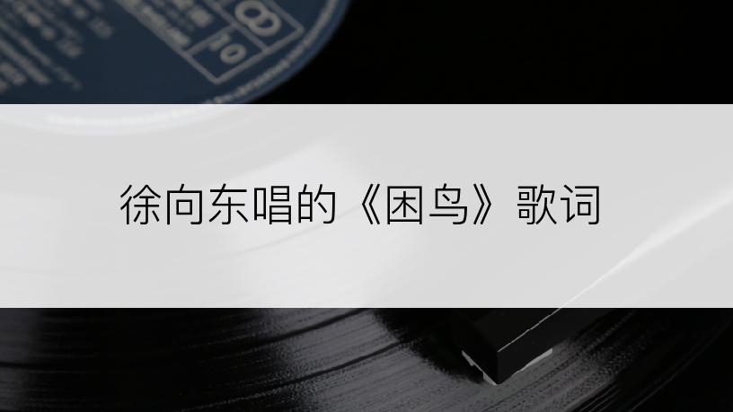 徐向东唱的《困鸟》歌词