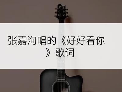 张嘉洵唱的《好好看你》歌词