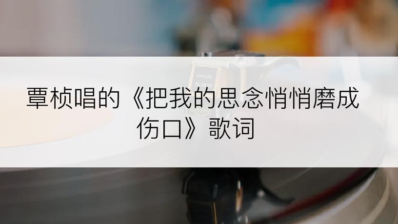 覃桢唱的《把我的思念悄悄磨成伤口》歌词