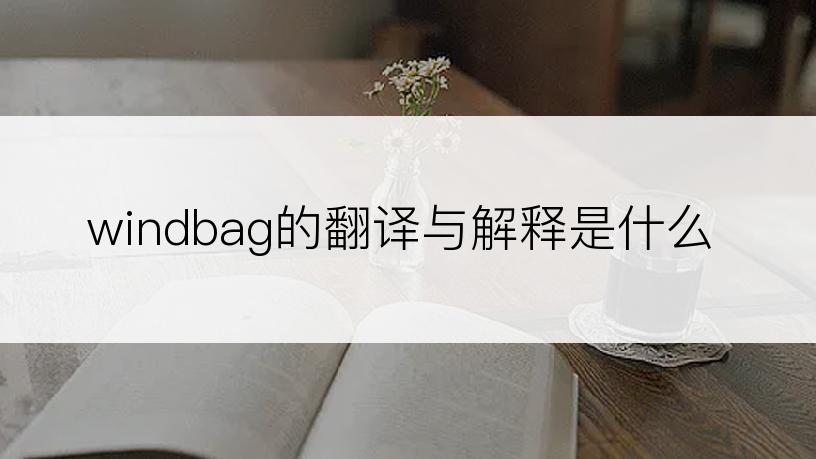 windbag的翻译与解释是什么