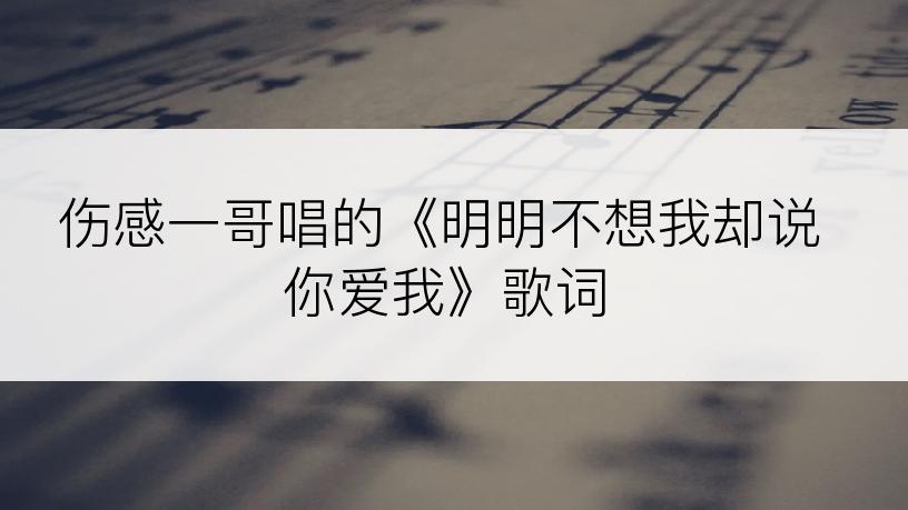 伤感一哥唱的《明明不想我却说你爱我》歌词