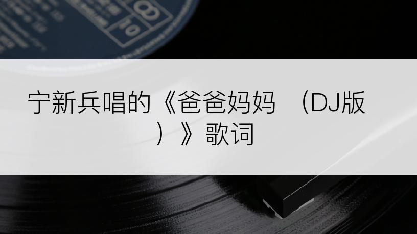 宁新兵唱的《爸爸妈妈 （DJ版）》歌词