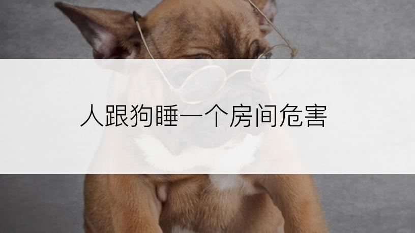人跟狗睡一个房间危害