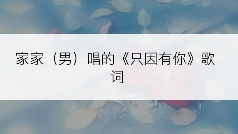 家家（男）唱的《只因有你》歌词