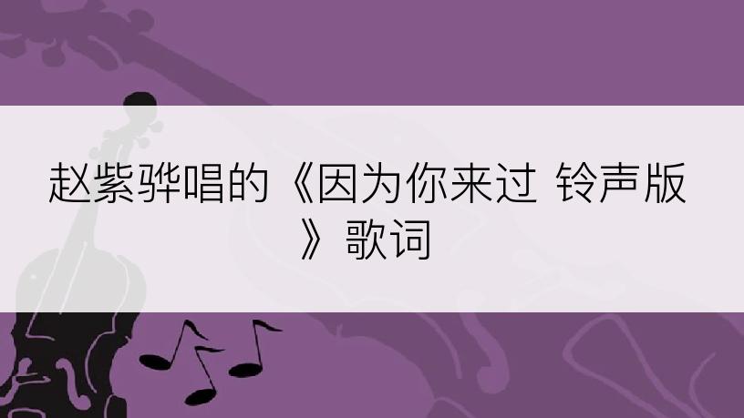赵紫骅唱的《因为你来过 铃声版》歌词