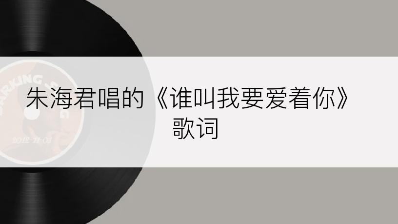 朱海君唱的《谁叫我要爱着你》歌词