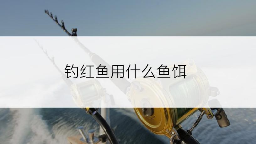 钓红鱼用什么鱼饵