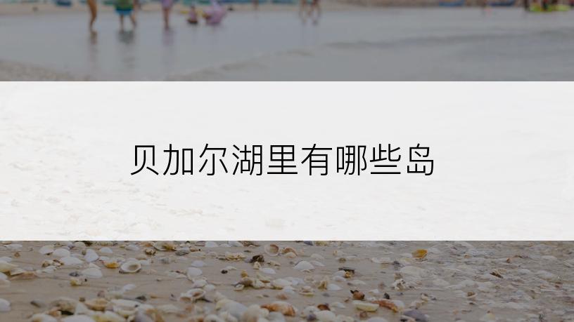 贝加尔湖里有哪些岛