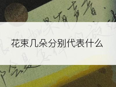 花束几朵分别代表什么