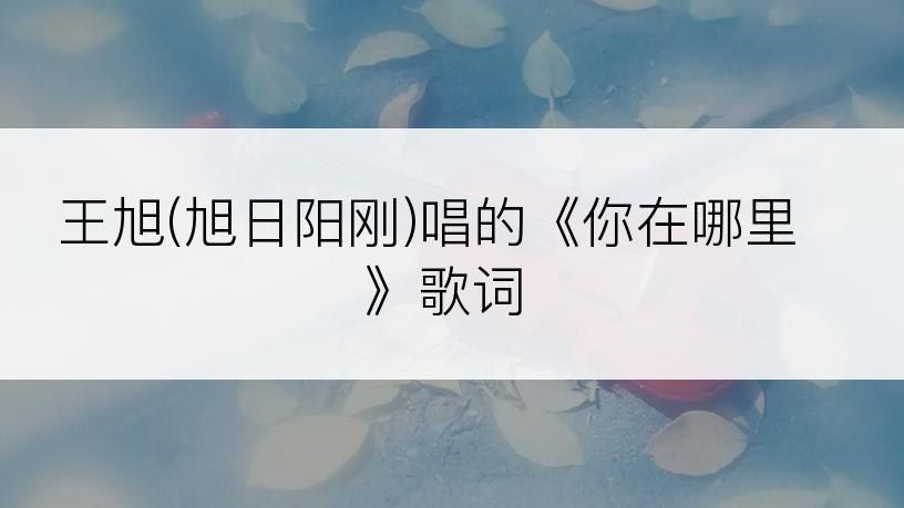 王旭(旭日阳刚)唱的《你在哪里》歌词