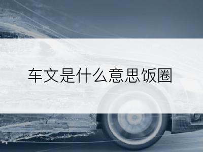 车文是什么意思饭圈