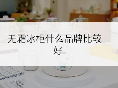 无霜冰柜什么品牌比较好