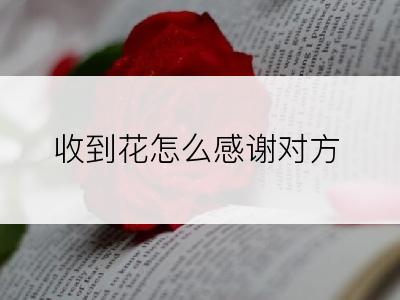 收到花怎么感谢对方