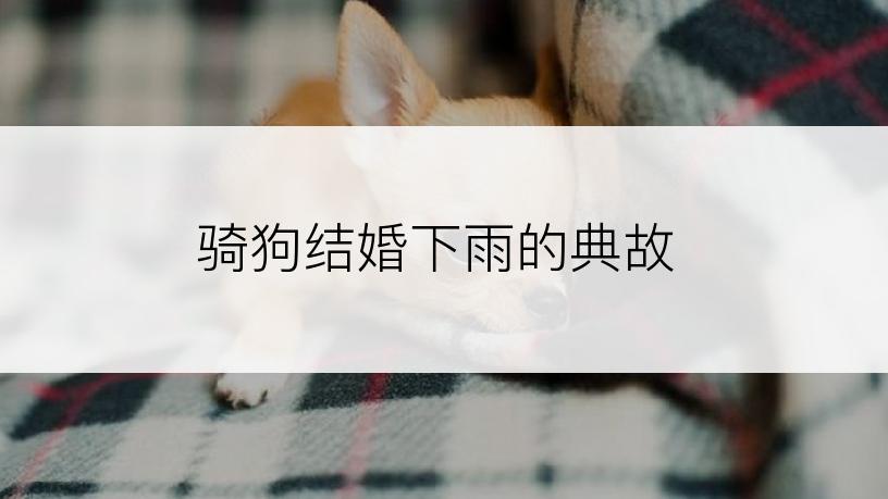 骑狗结婚下雨的典故