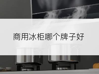 商用冰柜哪个牌子好