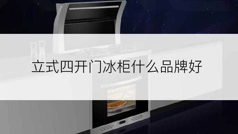 立式四开门冰柜什么品牌好