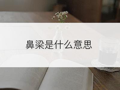 鼻梁是什么意思