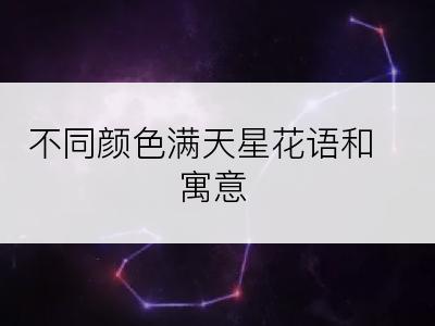 不同颜色满天星花语和寓意