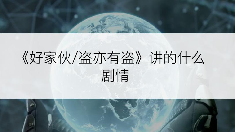 《好家伙/盗亦有盗》讲的什么剧情