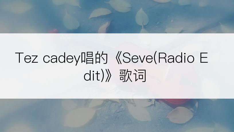 Tez cadey唱的《Seve(Radio Edit)》歌词