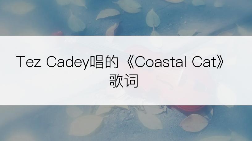 Tez Cadey唱的《Coastal Cat》歌词