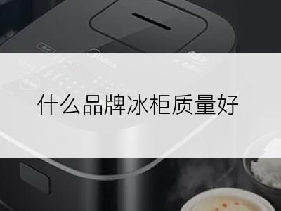 什么品牌冰柜质量好