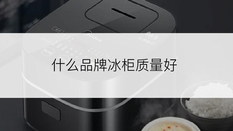 什么品牌冰柜质量好