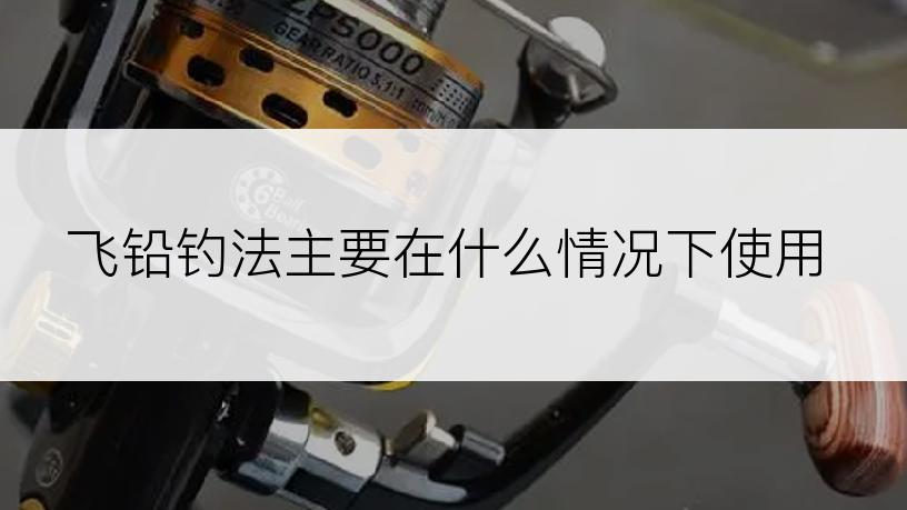 飞铅钓法主要在什么情况下使用