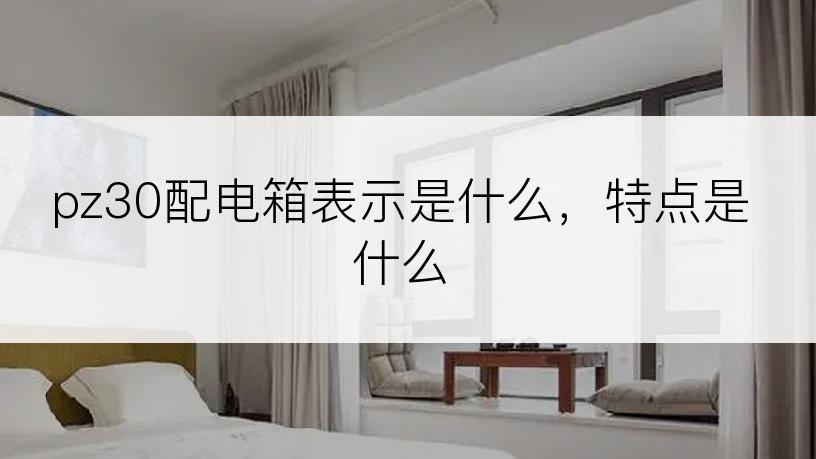pz30配电箱表示是什么，特点是什么