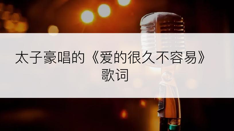 太子豪唱的《爱的很久不容易》歌词