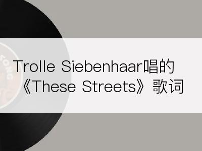 Trolle Siebenhaar唱的《These Streets》歌词