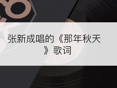 张新成唱的《那年秋天》歌词