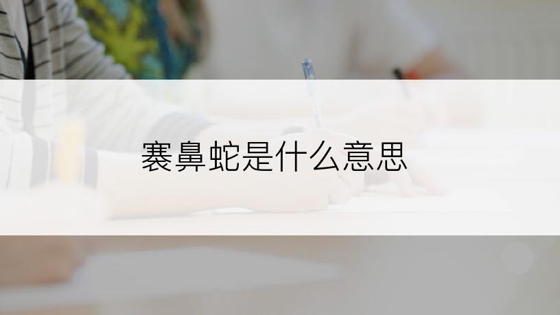 褰鼻蛇是什么意思
