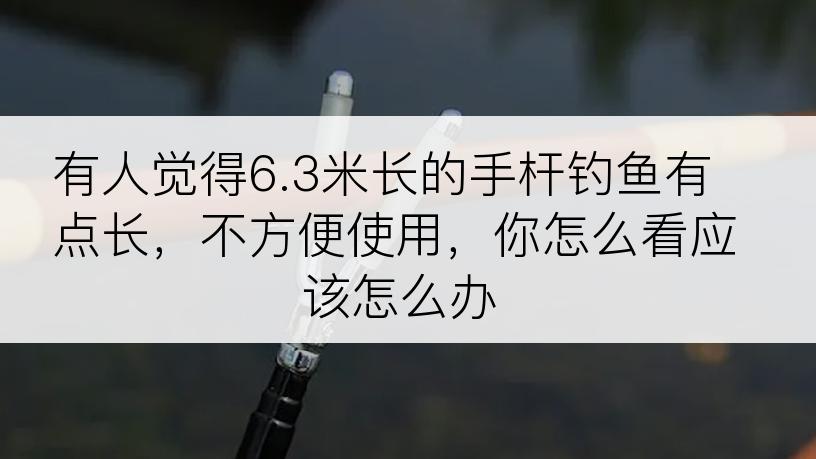 有人觉得6.3米长的手杆钓鱼有点长，不方便使用，你怎么看应该怎么办