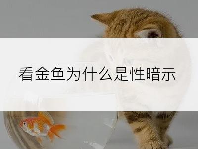 看金鱼为什么是性暗示