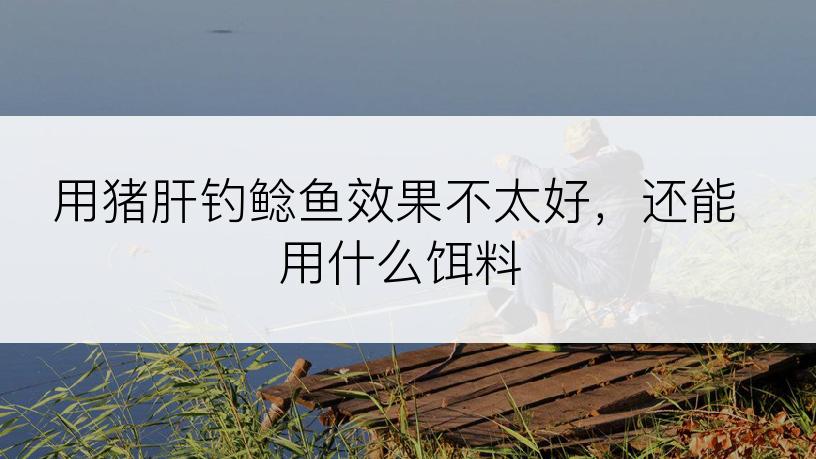 用猪肝钓鲶鱼效果不太好，还能用什么饵料