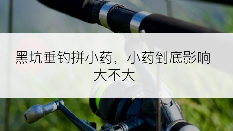 黑坑垂钓拼小药，小药到底影响大不大