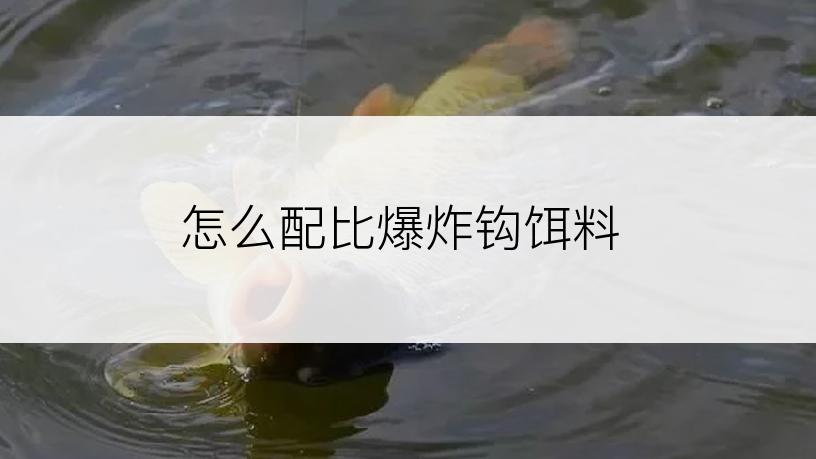 怎么配比爆炸钩饵料