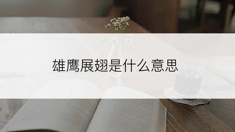 雄鹰展翅是什么意思