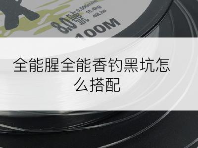 全能腥全能香钓黑坑怎么搭配