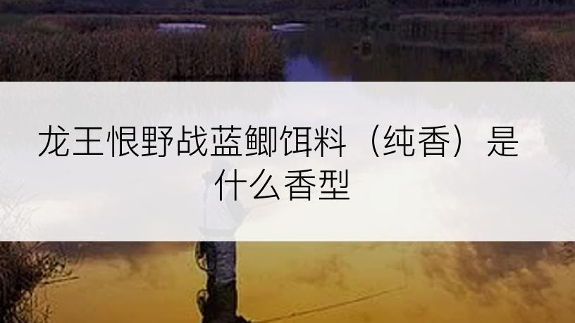 龙王恨野战蓝鲫饵料（纯香）是什么香型