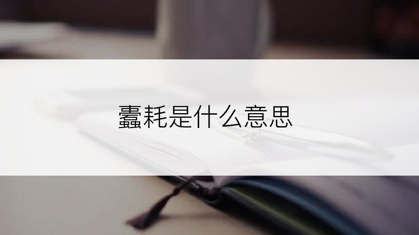 蠹耗是什么意思