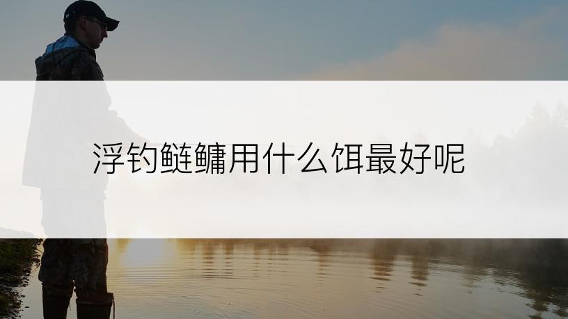 浮钓鲢鳙用什么饵最好呢