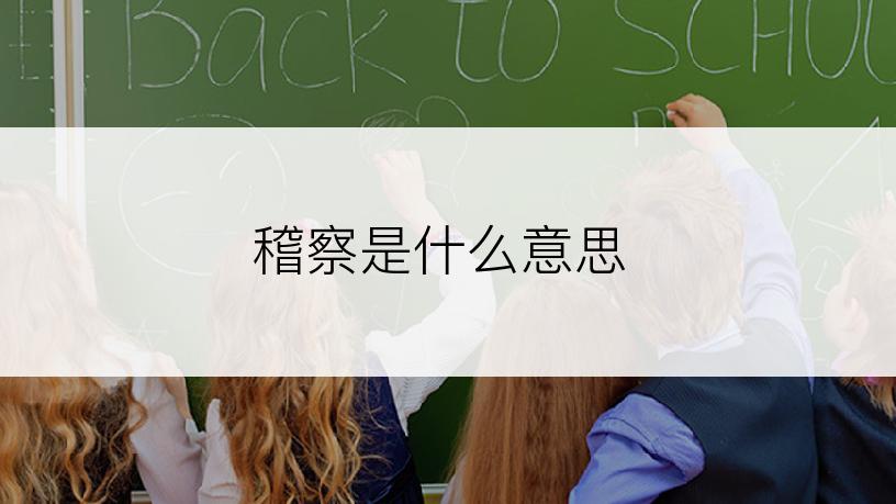 稽察是什么意思