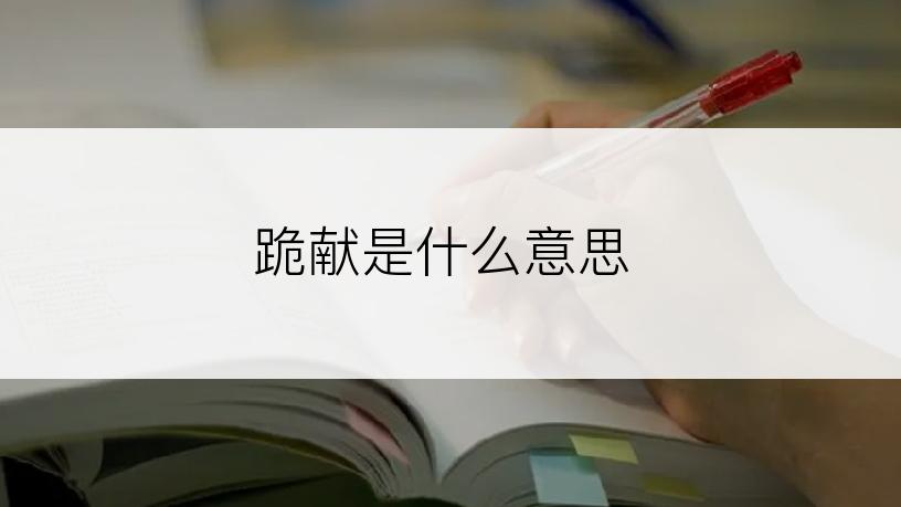 跪献是什么意思