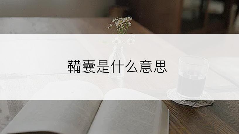 鞴囊是什么意思