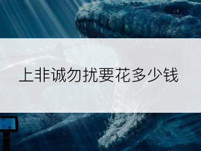 上非诚勿扰要花多少钱